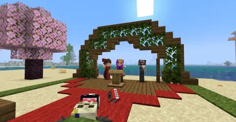 Marriage between the Mayor and K. J. Sasha